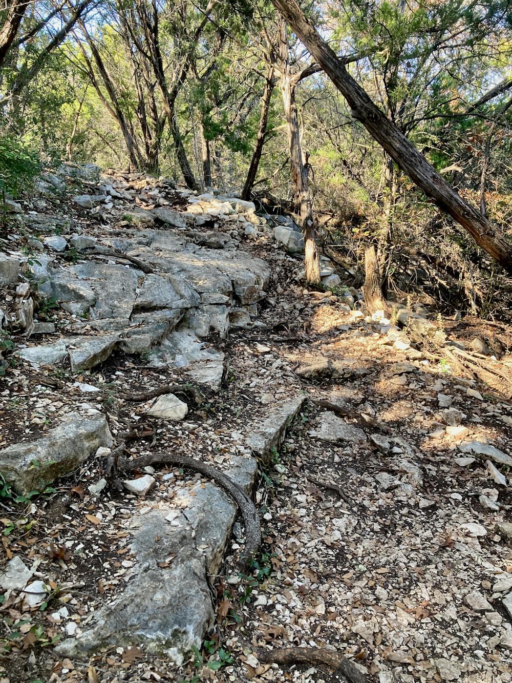 Photo from South Austin Trail Network Loop
