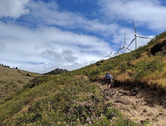 Lahaina Pali Trail