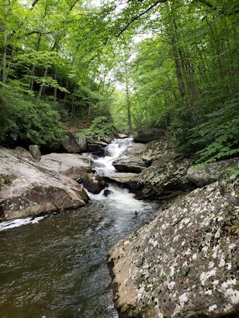 Classic Hikes Paired with Local Breweries in WNC