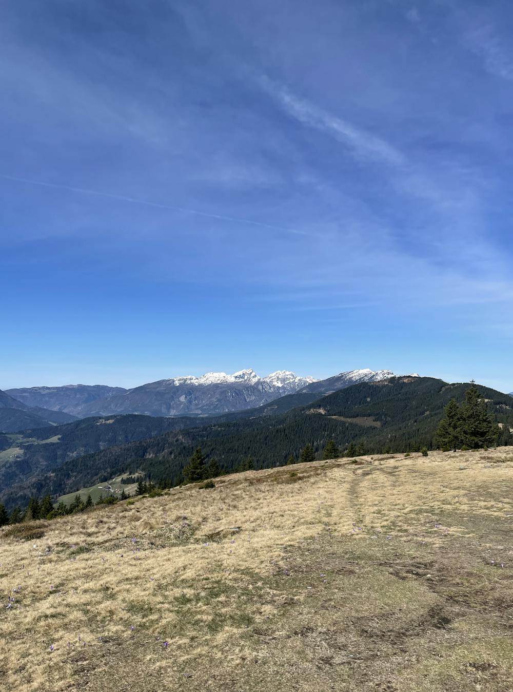 Pogled na raduho