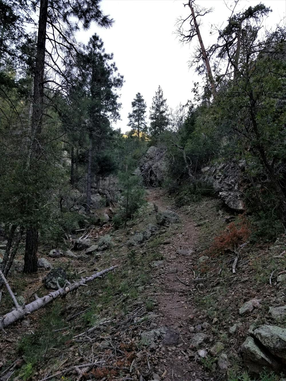 Mesa Trail Loop