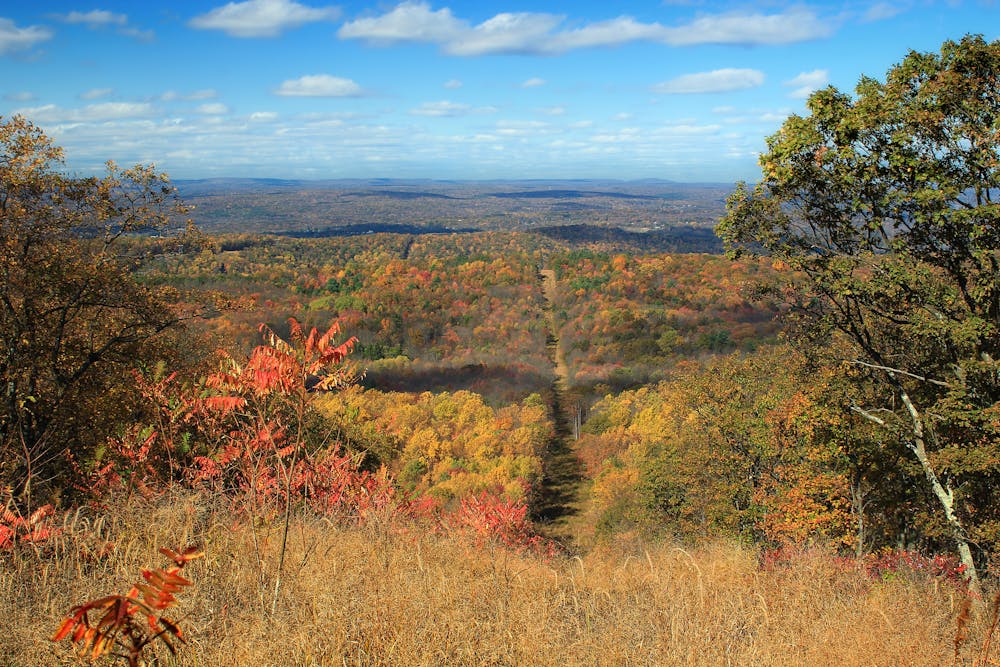 Appalachian Trail: Totts Gap to Mount Minsi 