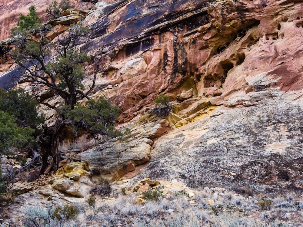 Colorful rock on the canyon walls.