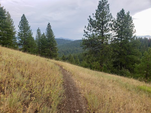 Ride the Magnificent Trails of Missoula