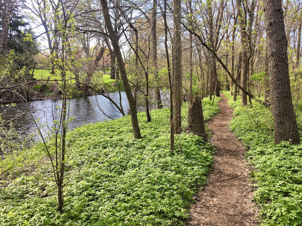 Riding along the banks of the Menomonee River
