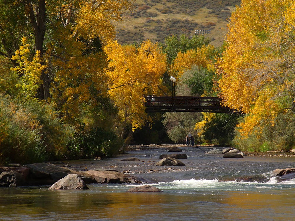 Fall colors on Clear Creek
