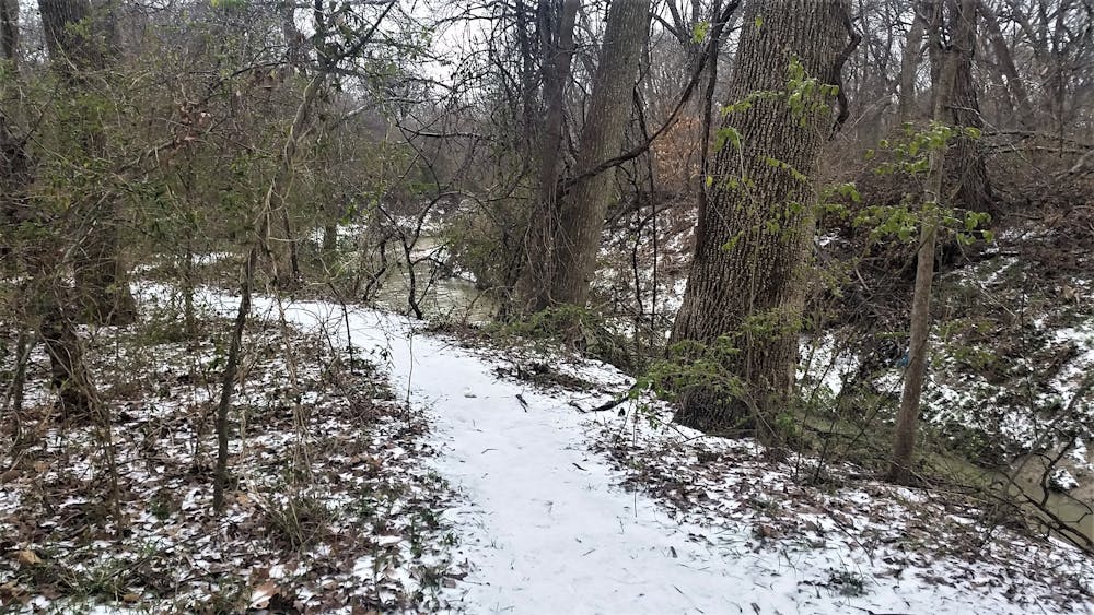 Snow at Oak Point Nature Preserve