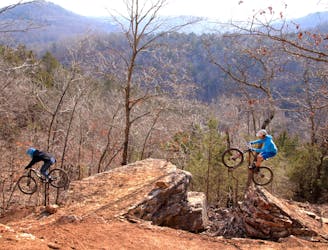 DH in Arkansas: Shred the Lake Leatherwood Gravity Project