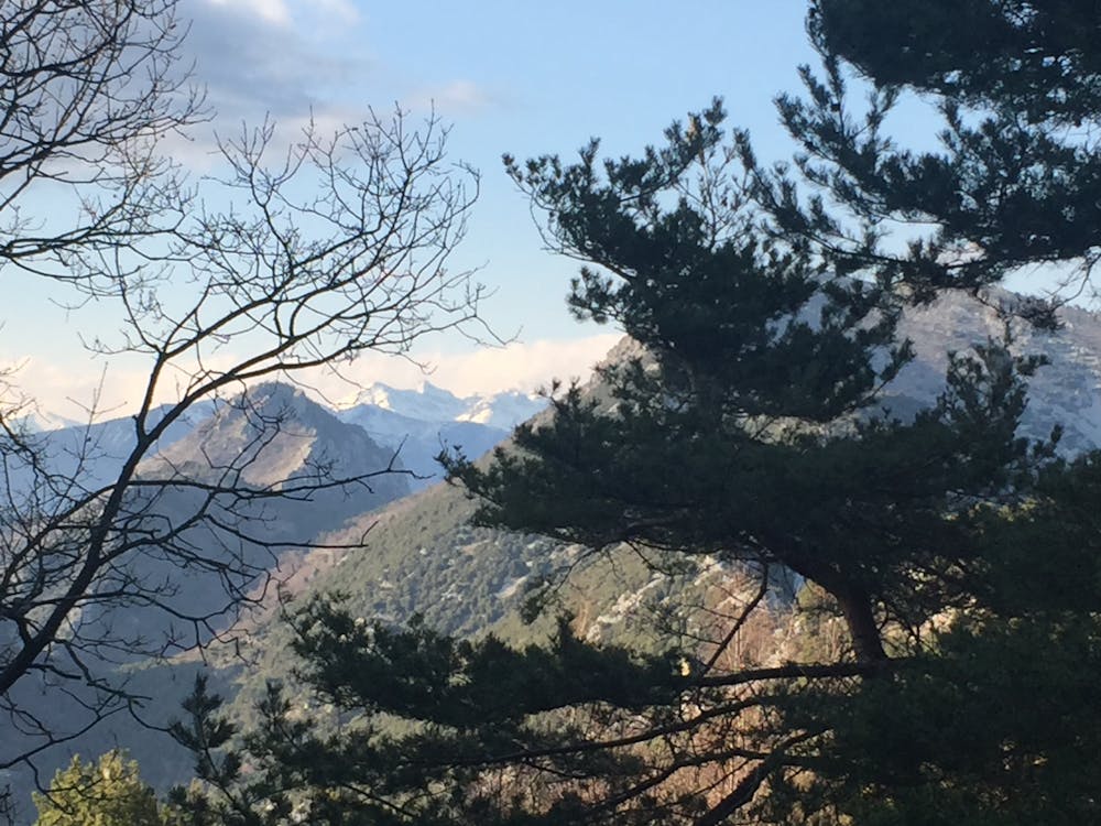 Distant views of the Mercantour from Col du Berceau