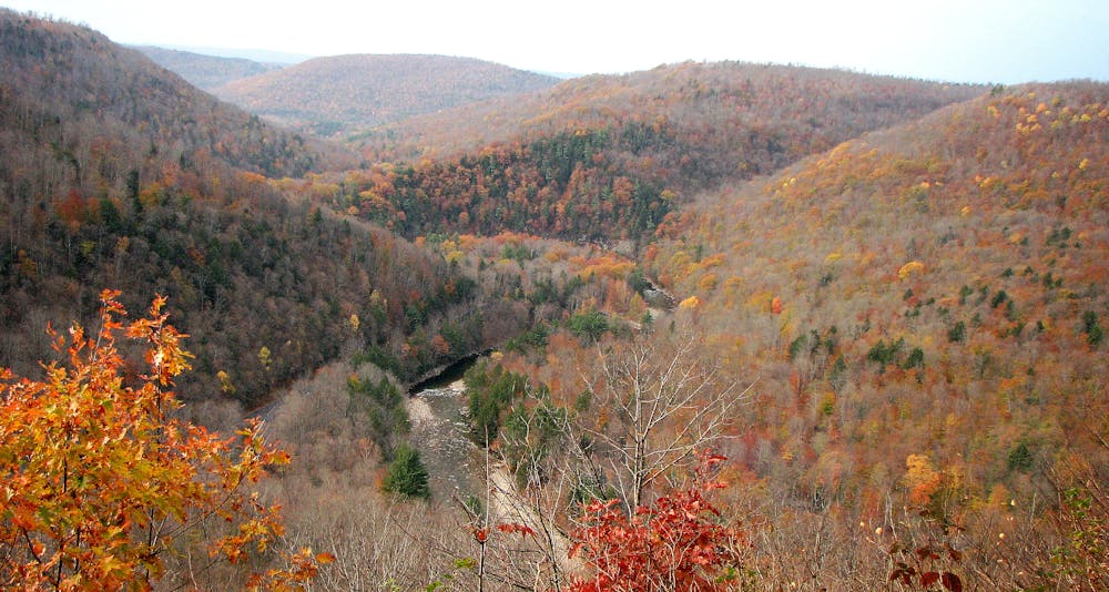 Loyalsock in Late October