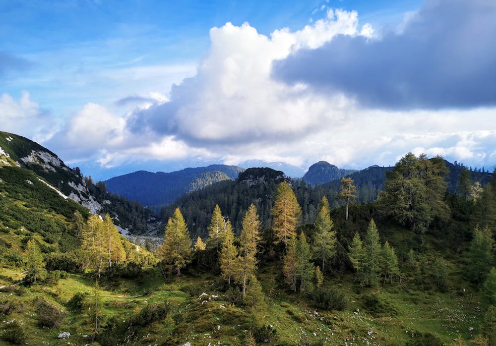 Photo from Triglav - from Vodnik's mountain lodge to mountain pasture Blato