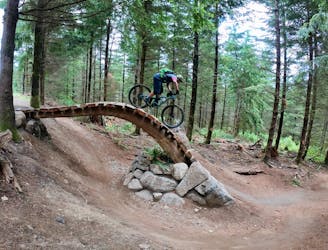 Pedal the PNW: 5 Best MTB Trails in Washington State