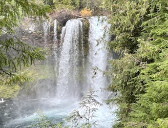 Waterfall Trail Loop: Sahalie Falls and Koosah Falls