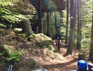Rodalben Felsenwanderweg Trail
