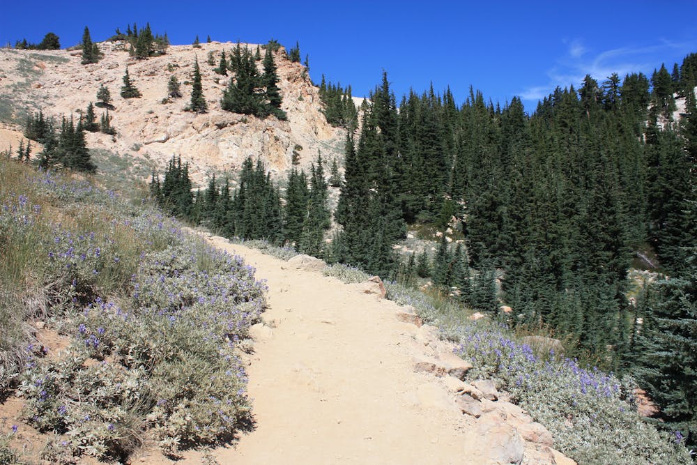 On the trail to Bumpass Hell