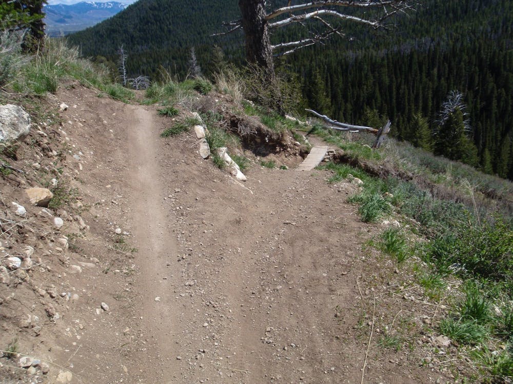 Photo from Fuzzy Bunny -> Powerline Jumps -> Parallel Trail