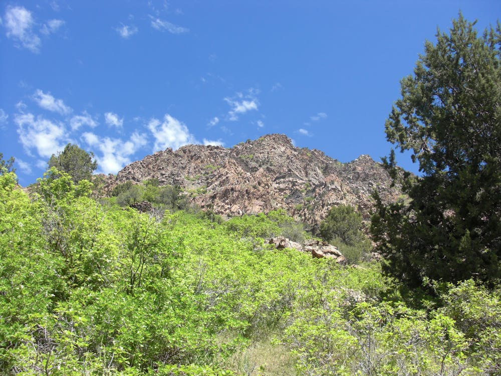 Ragged slopes of Heughs Canyon