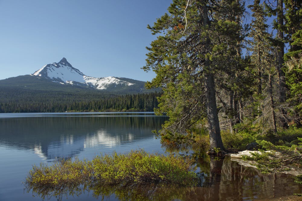 View of Mount Washington from Big Lake
