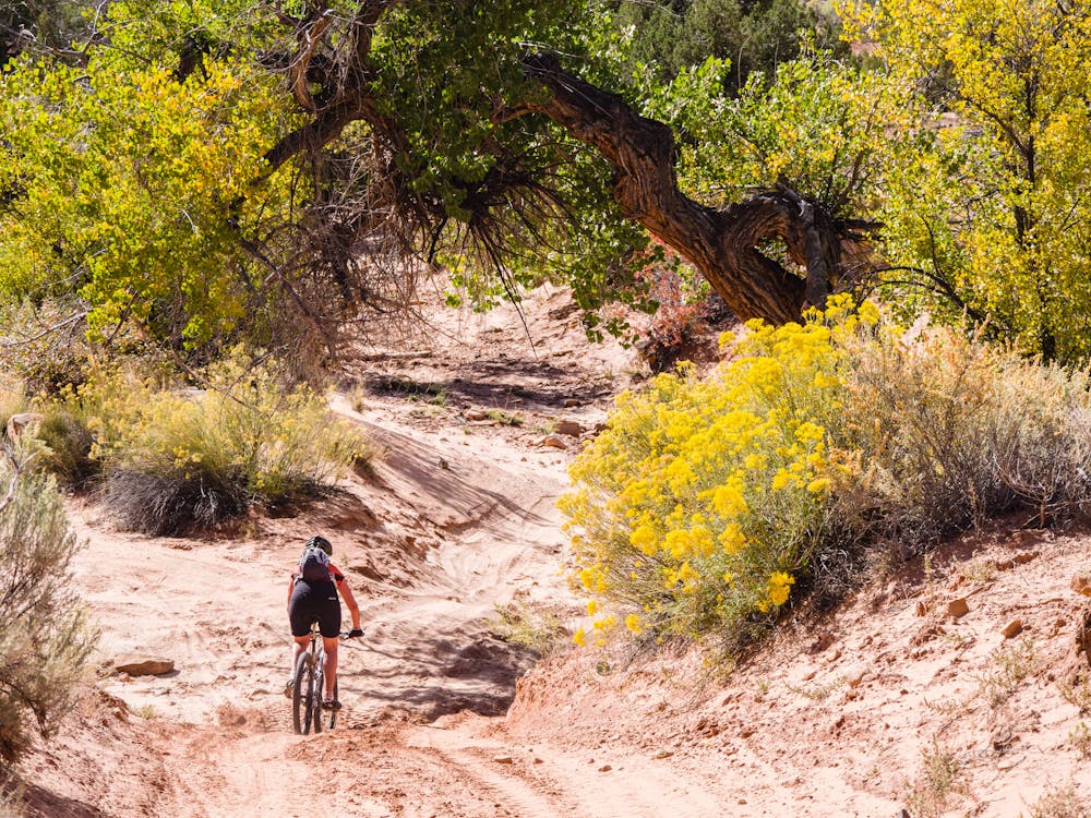 Deep sand is no problem for fatbikes.