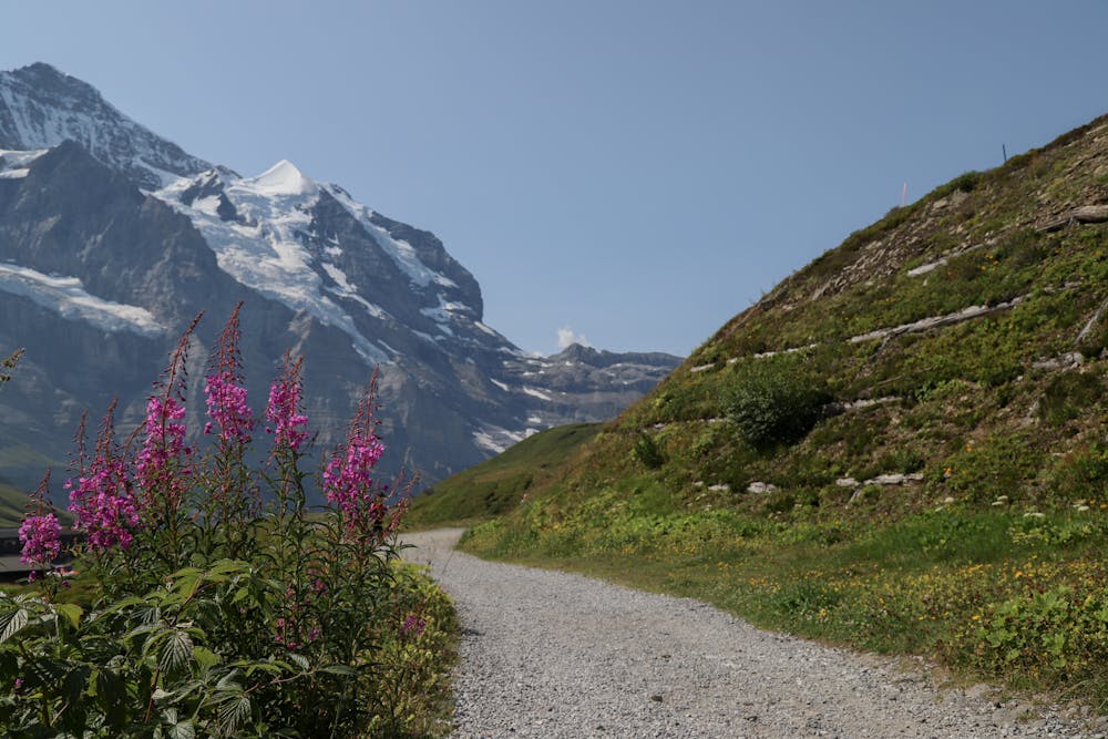 Photo from Männlichen to Kleine Scheidegg Panorama Trail