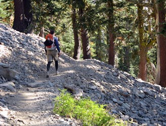 Tahoe Rim Trail: Barker Pass to Tahoe City