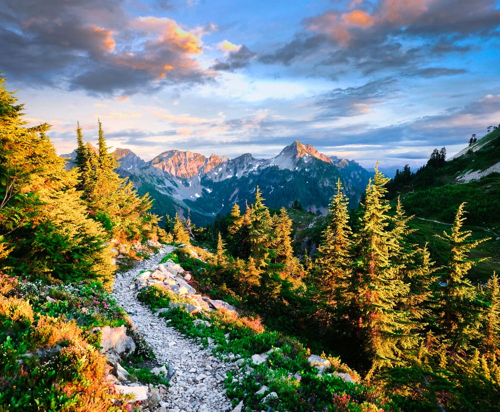 Trail in the Alpine Lakes Wilderness