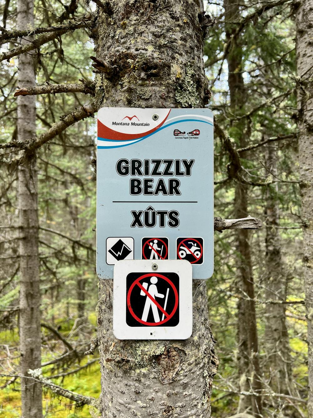Grizzly Bear Trail