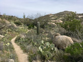 50-Year Trail