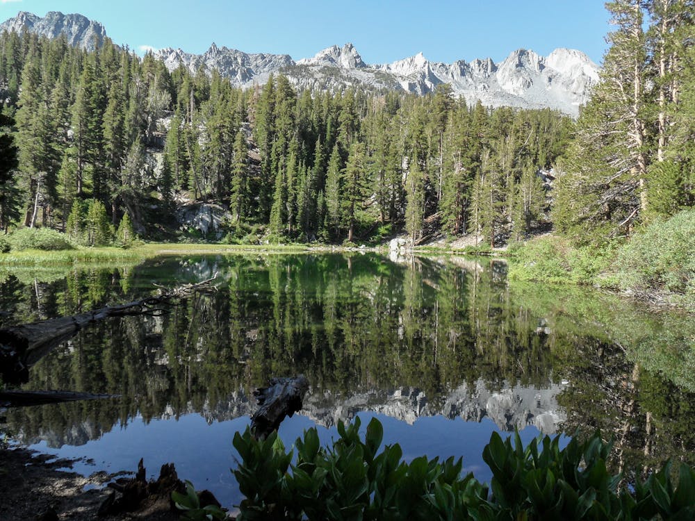 Photo from Emerald Lake
