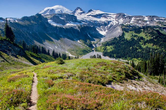 Most Beautiful Hikes in Mount Rainier National Park