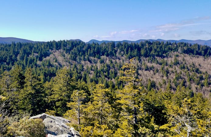 3 Must-Do Hikes in the Shining Rock Wilderness
