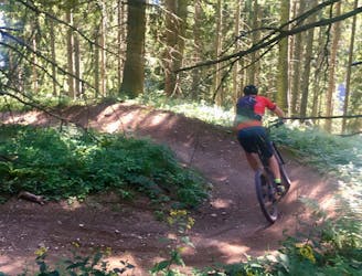 Ride Austria's Eastern Alps: Best Trails in Zell am See