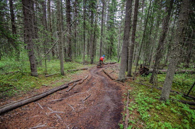Skip Banff: 6 of the Best MTB Trails in Canmore