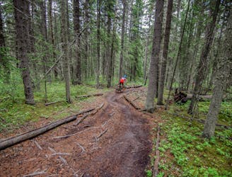 Skip Banff: 6 of the Best MTB Trails in Canmore