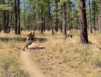 7 of the Best MTB Rides in Bend’s Famous Trail Network