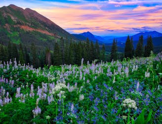 Hike Through a Sea of Wildflowers in Idyllic Crested Butte