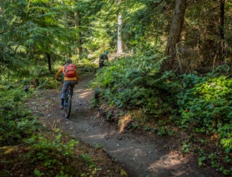 Loam, Jumps, and Gnar: Best MTB Trails in Seattle