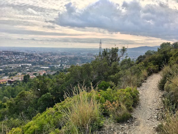 The 8 Best Trail Runs in Barcelona’s Parc de Collserola