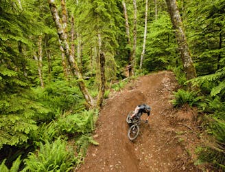 Top 10 Must-Ride Mountain Bike Trails in the USA