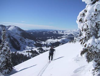 Best Ski Tours in America's Yellowstone National Park