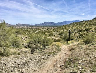 Crank Out Flowy Miles on Phoenix's Best XC Trails