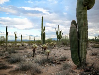 6 Mellow Desert Hikes in the Phoenix Metro Area