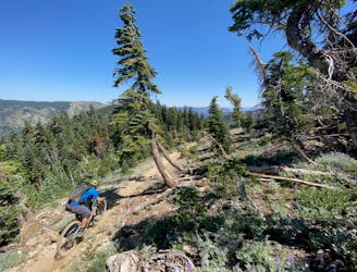 Ride 7 of the Very Best MTB Trails near Downieville, CA