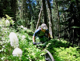 5 World-Class MTB Day Trips from Eugene, OR