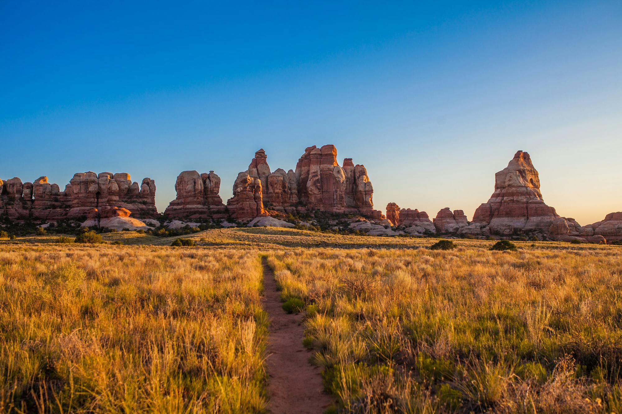 Chesler Park in the Needles District