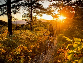Roanoke, Virginia: "Mountain Bike Capital of the East"