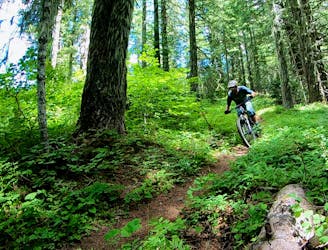 Ride All 5 of Oregon’s IMBA Epics, Both Past and Present